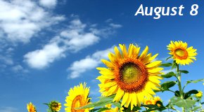 August
